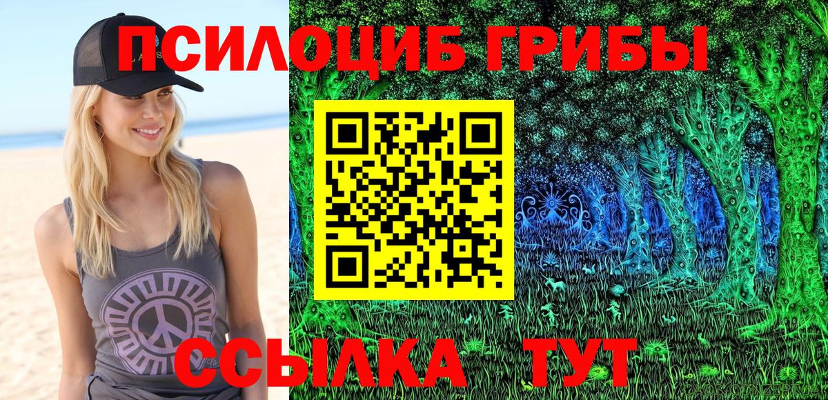 Псилоцибиновые грибы Cubensis  Галлюциногенные грибы прущие грибы  Губкинский  Вход с VPN 